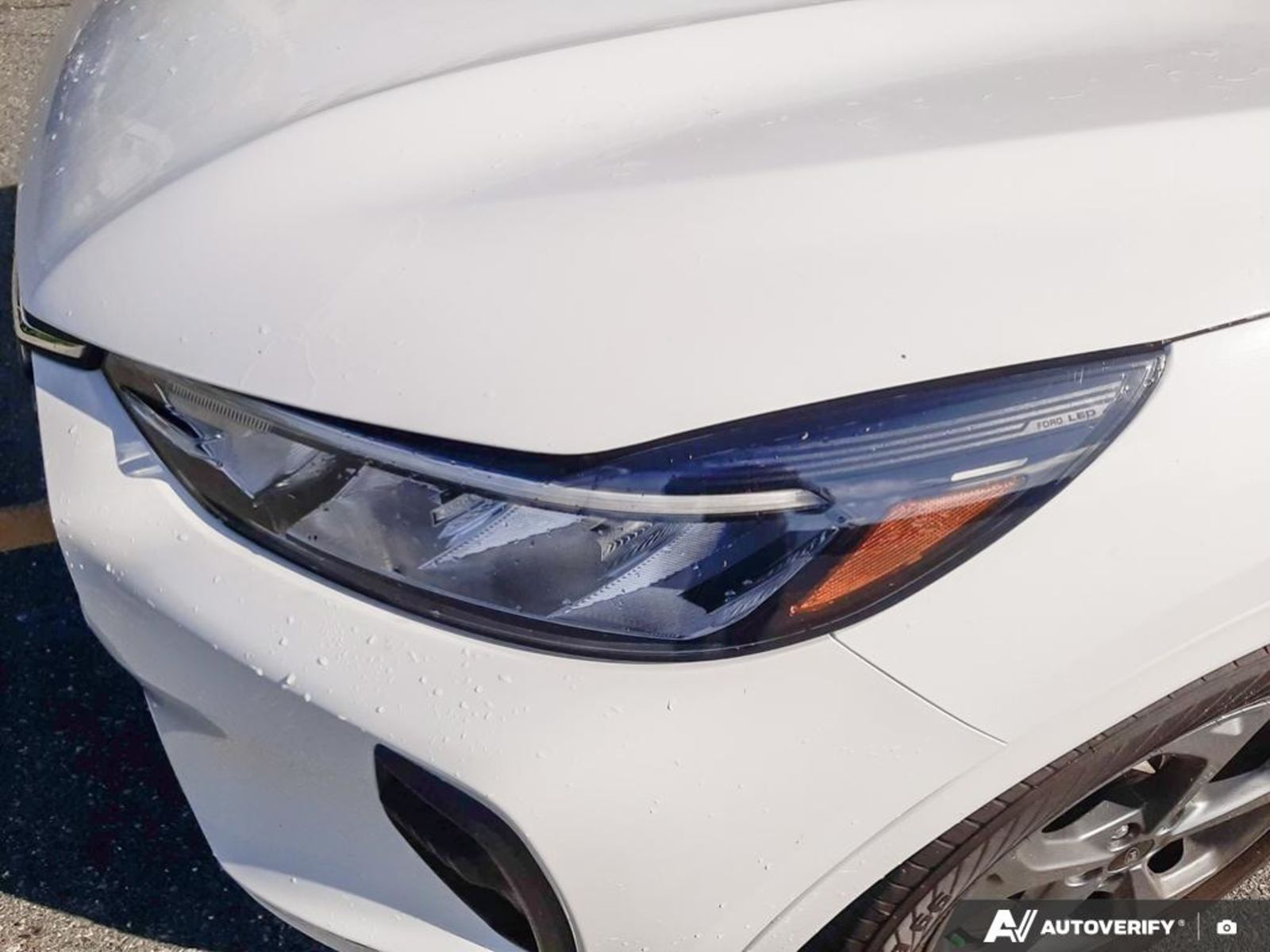 2023 Ford Escape ST-Line, Vancouver, Cash