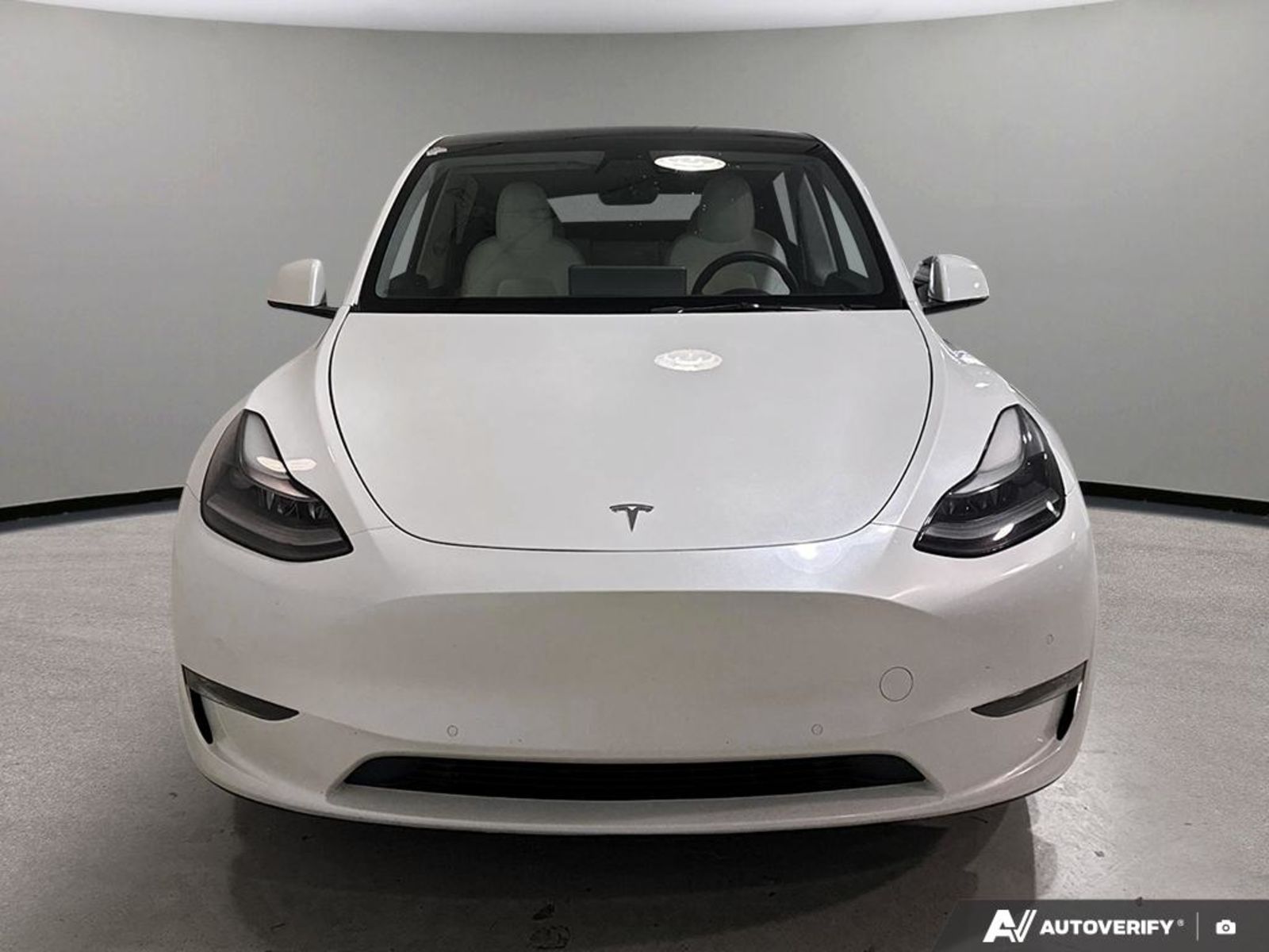 2021 Tesla Model Y Performance, 温哥华, 全款车