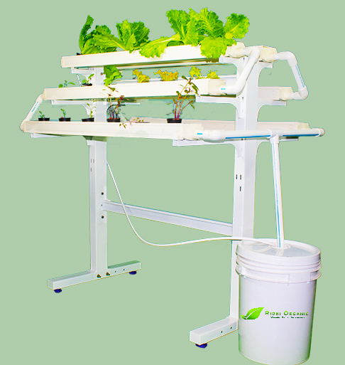 hydroponic kit