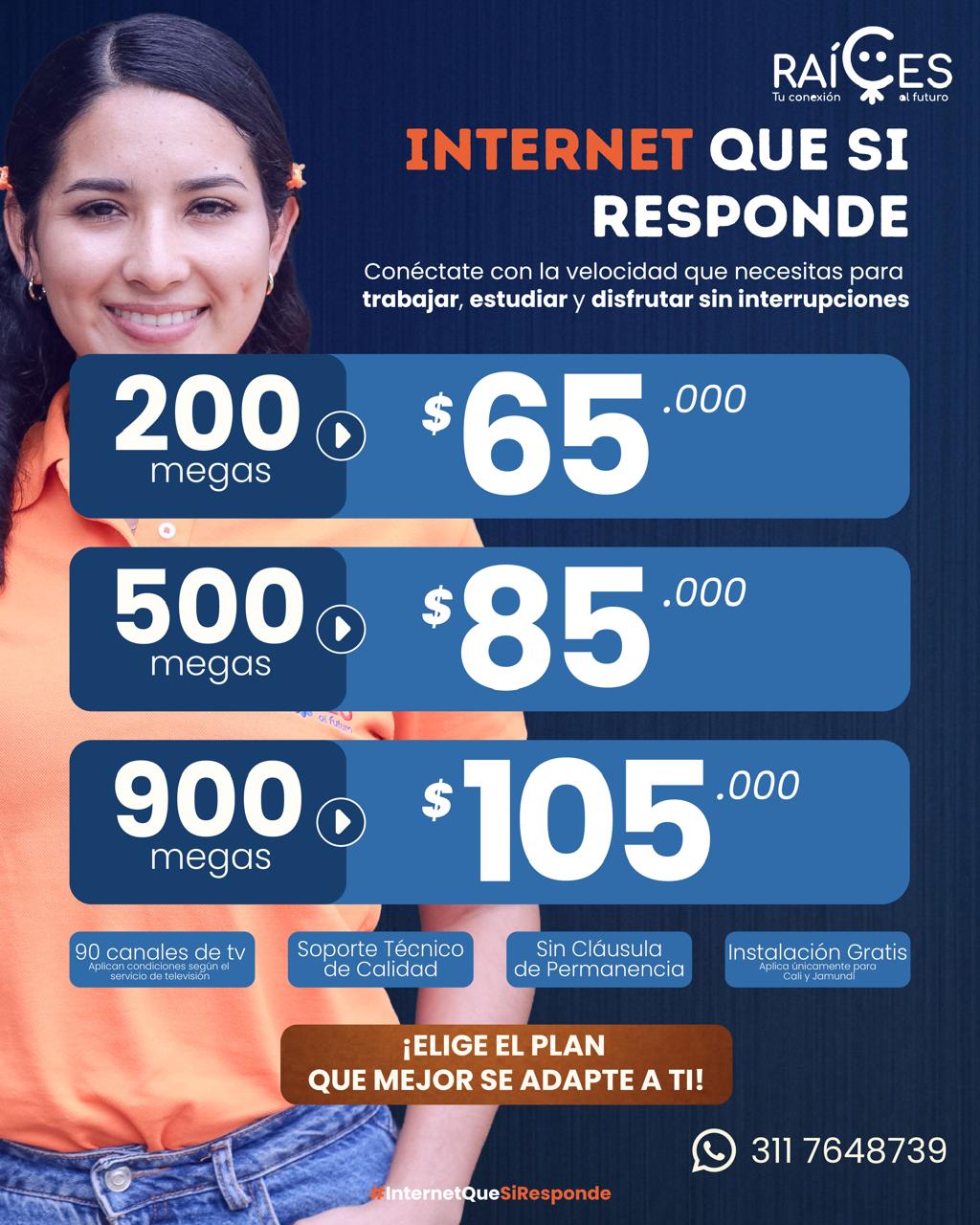 Publicaciones Adricar
