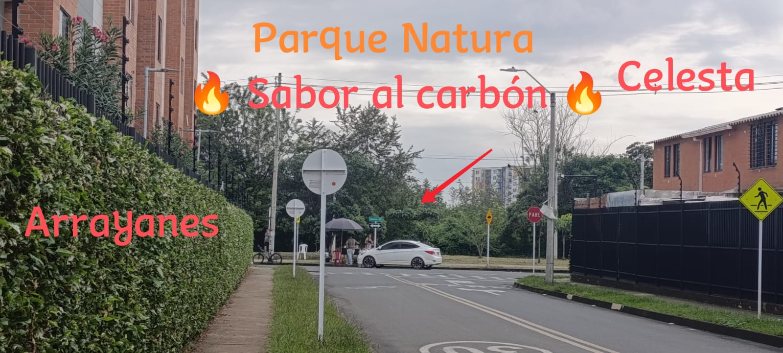 Sabor al carbón