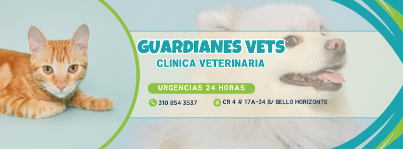 Guardianes Vets - Clínica Veterinaria 24 Horas