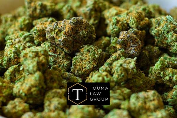 marijuana, Marijuana Trafficking Charges in SC