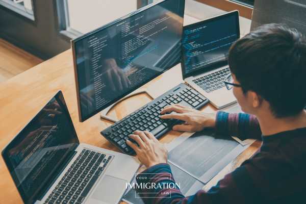 a web developer working on an h-1b visa