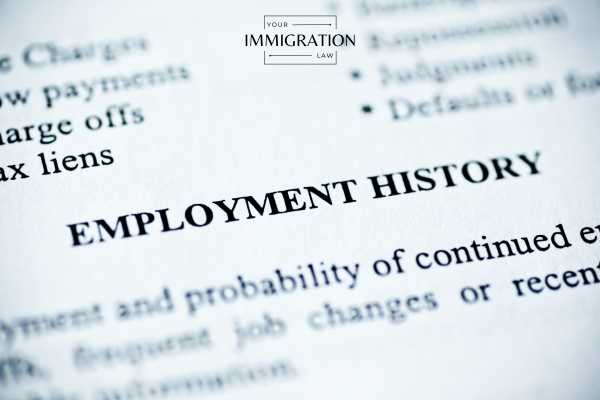 a form highlighting an l-1a visa applicants employment history