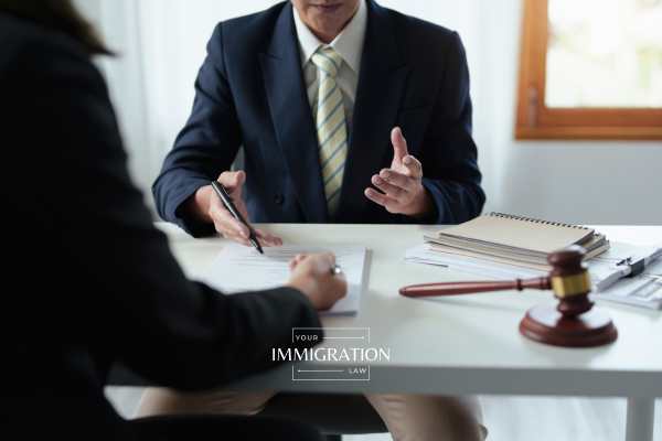 a lawyer  reviewing an immigration case for an appeal