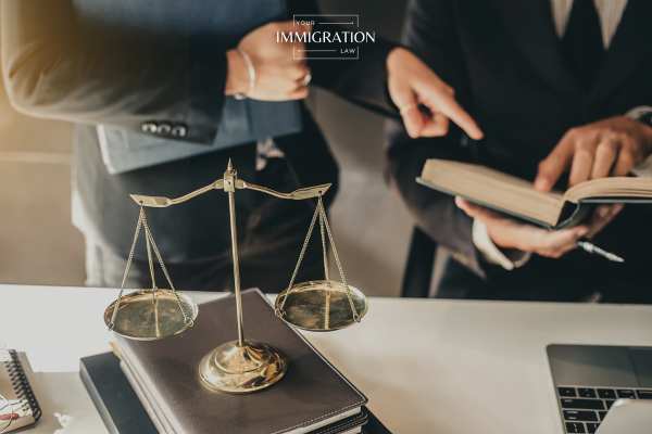 two attorneys reviewing an immigration case