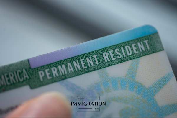 a person holding a green card