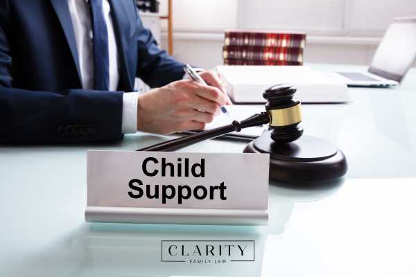an attorney reviewing a child support case