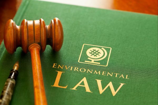 green environmental law book with gavel and pen on top