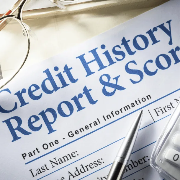 A report titled "Credit History Report & Score." It conveys the seriousness of protecting your credit profile from mixed credit report errors.