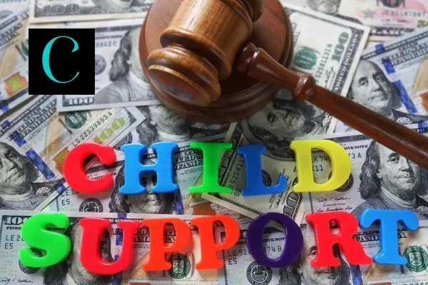 special_needs_child_support_2_f07025755d