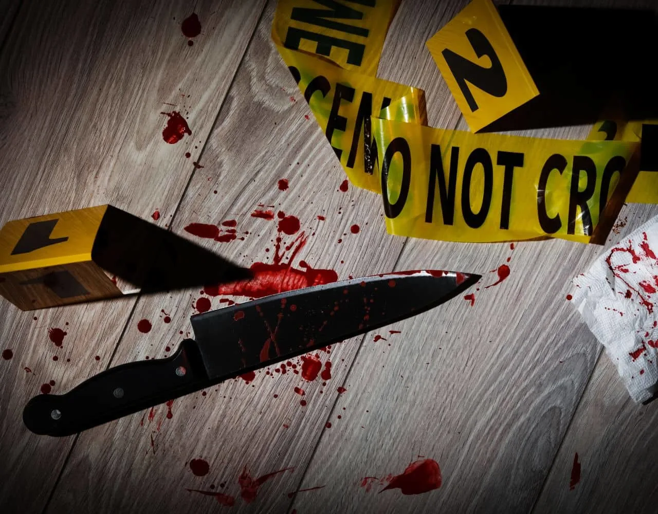 assault_with_a_deadly_weapon_in_south_carolina_ft_8251a5a0ed