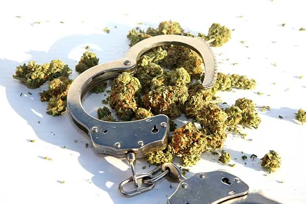 handcuffs resting on top of marijuana