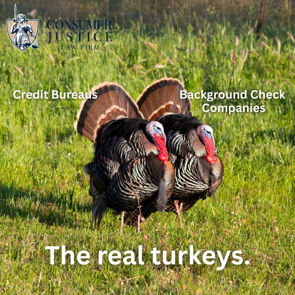 Two turkeys cross a field, conveying that the entities regulated by the FCRA are the real turkeys.