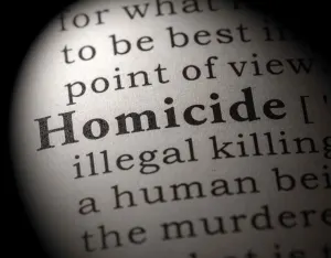 Greenville Homicide Lawyer