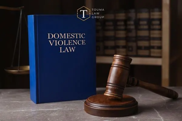 a gavel and legal book covering SC domestic violence law on a desk