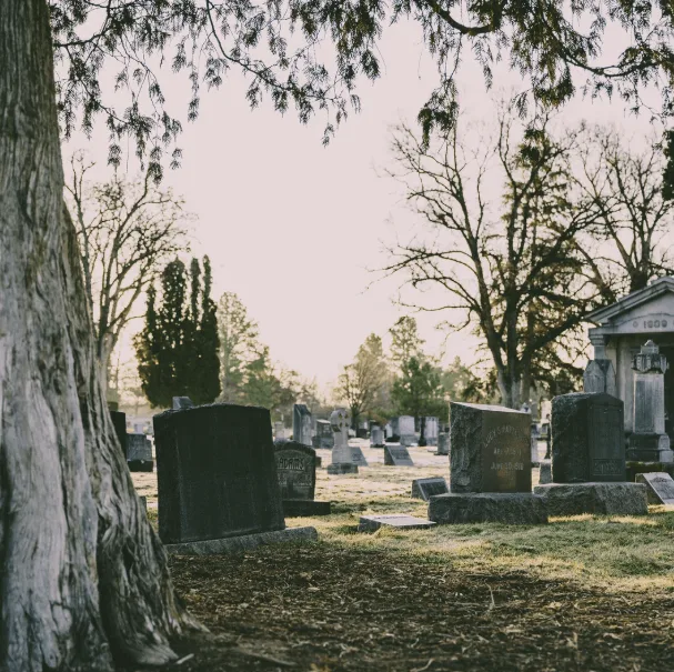 A tree stands vertically in the left foreground of a graveyard. Gentle sun light shines in the background, with a soft early morning glow in this visual play on the erroneous consumer deceased indicator.