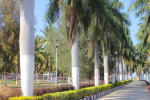 KIHM image 1