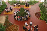 ACED image 11