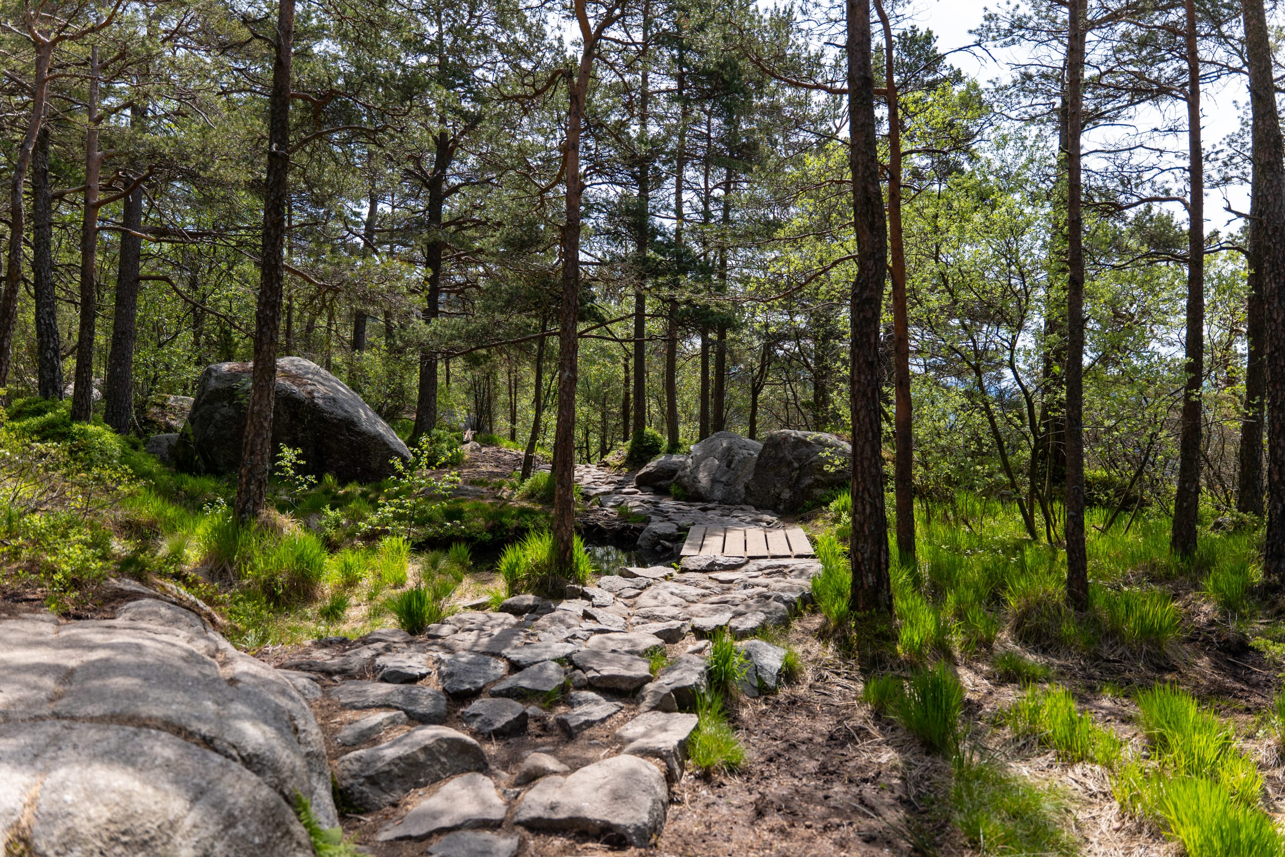Hiking terrain to Preikestolen