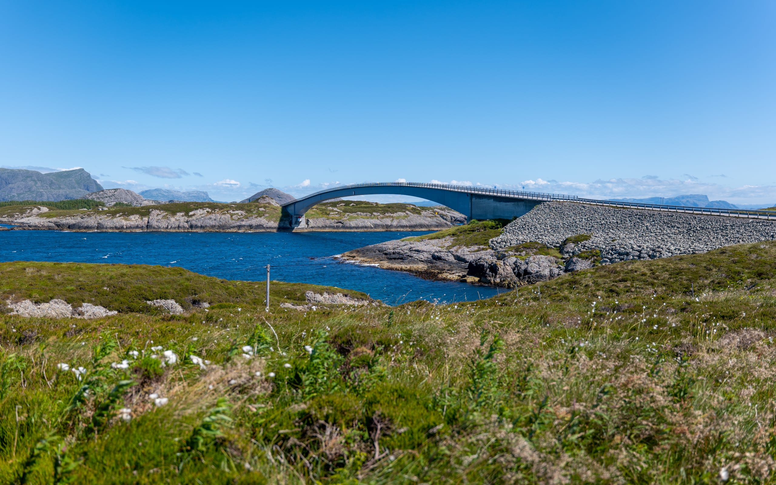The North Sea gateway bridge