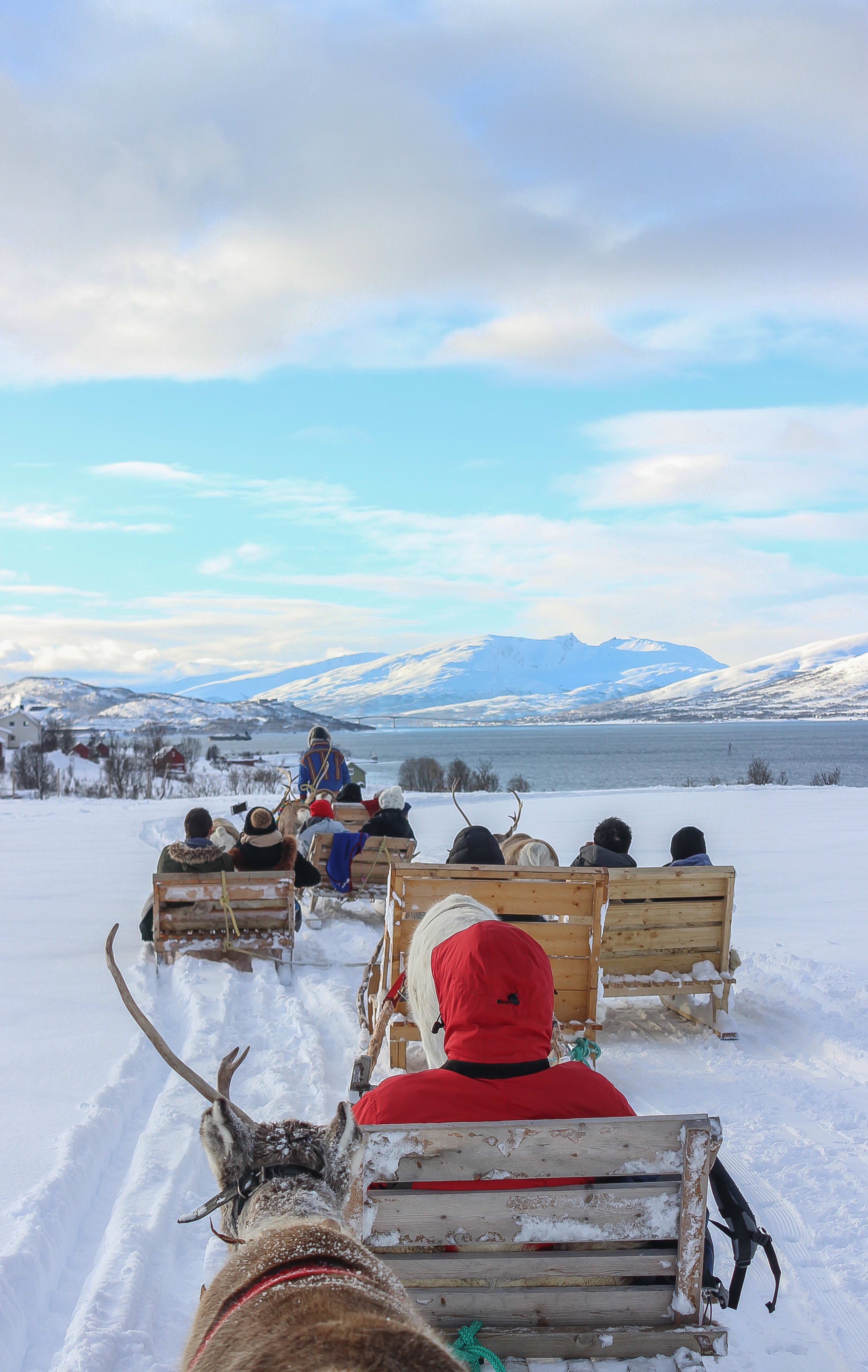 View from Reindeer Sledding in Tromsø