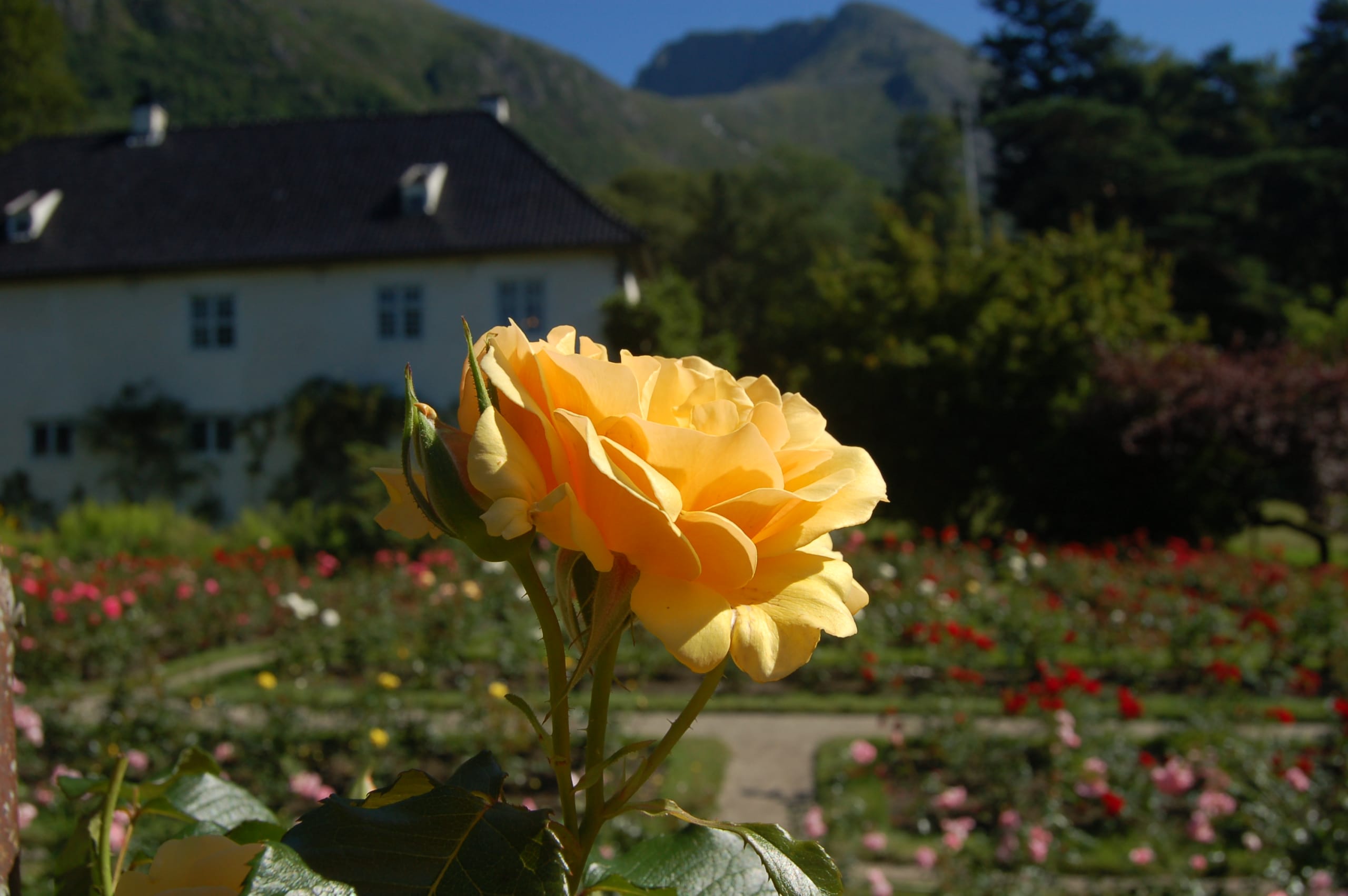 Rosendal Barony in Norway