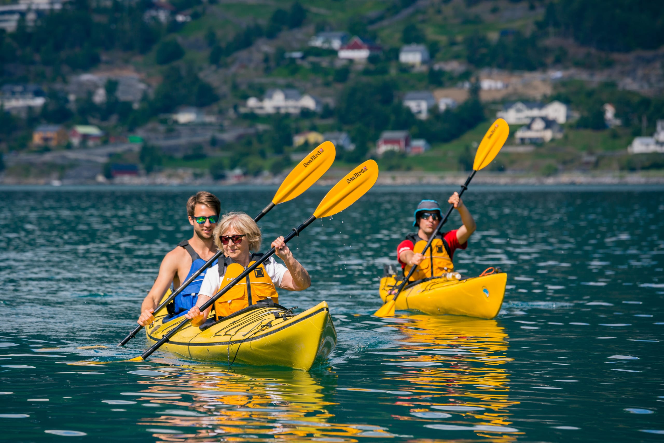 Kayaking in the Nordalsfjord and the UNESCO-listed Tafjord