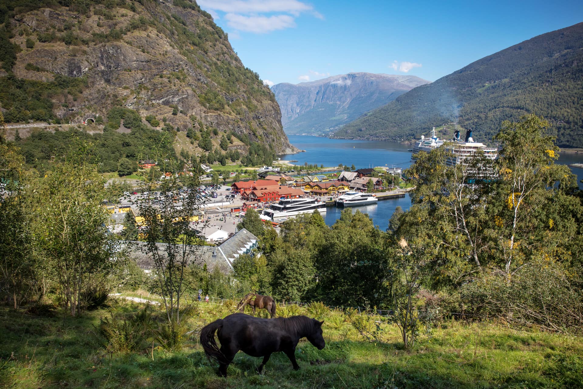 Fjordcruise fra Bergen til Flåm