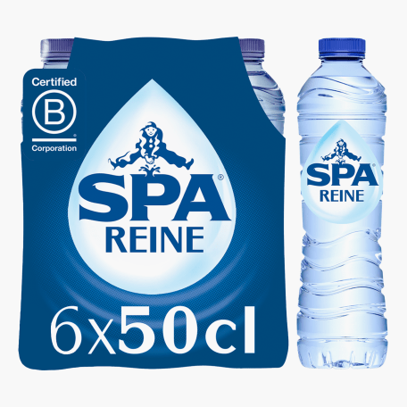 Spa Reine 6-pack 50cl