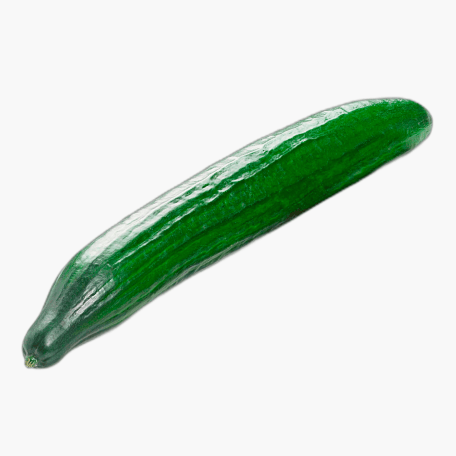 Gurke 1 Stk.