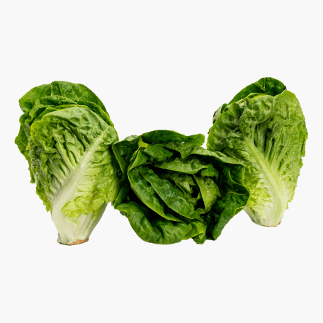 Romana Salat 3 Stk.
