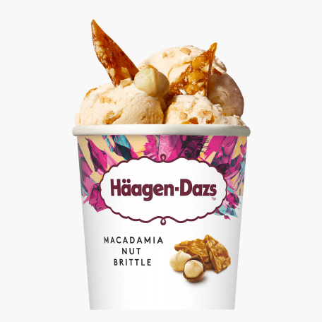 Häagen-Dazs Macadamia Nut Brittle 460ml