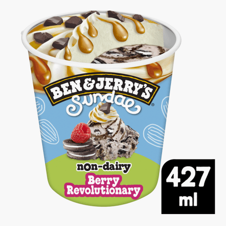 Ben & Jerry's Sundae Vegan Berry Revolutionary 427ml