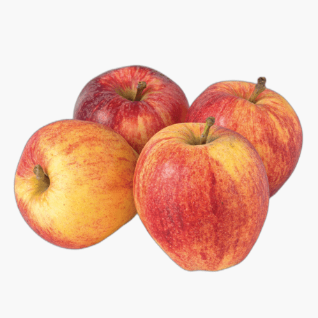 Appel Gala 4st