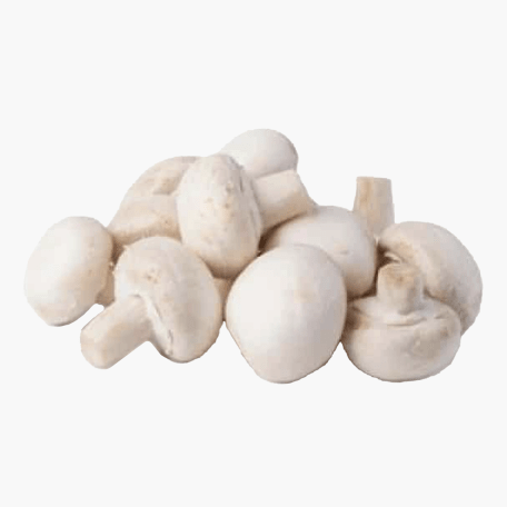 Champignons Weiß 400g
