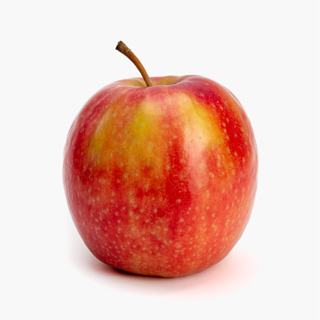 Appel Kanzi 1st