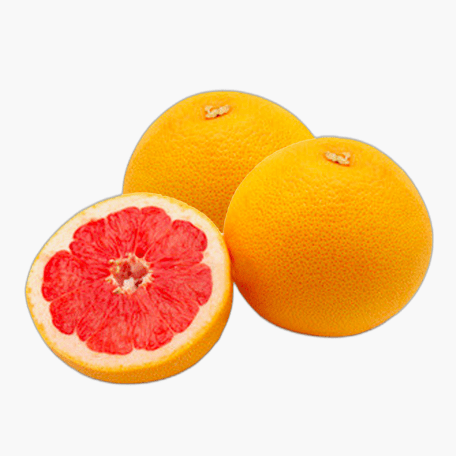 Grapefruit Rose 2 Stk.