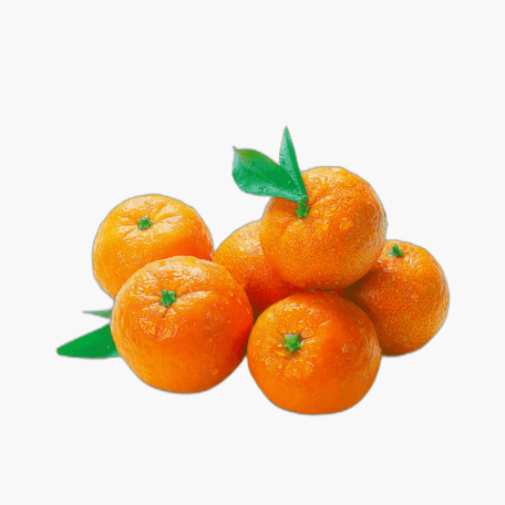 Mandarinen 750g