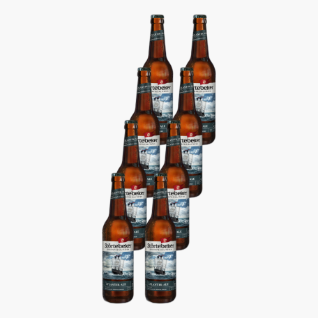 Störtebeker Atlantik Ale 0,5l (5,1 % vol.) MW x8