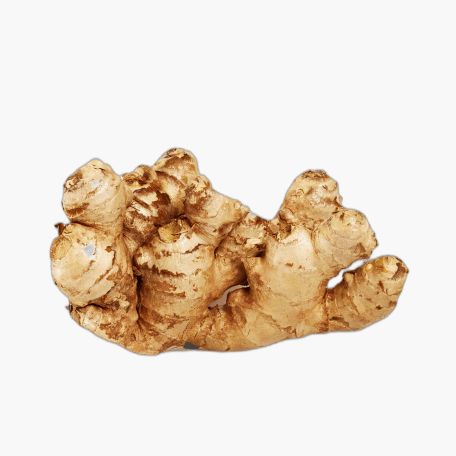 Ingwer ca. 100g