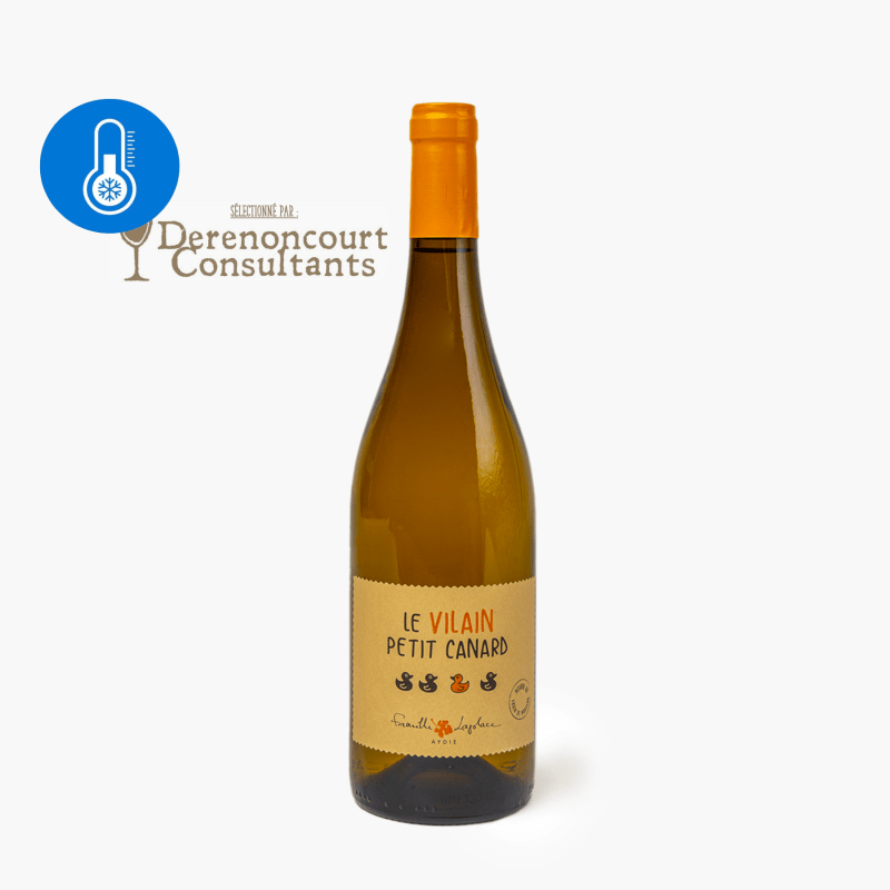 Sud-Ouest - Château Aydie "Le Vilain petit Canard" 2020 - Blanc sec (75cl)