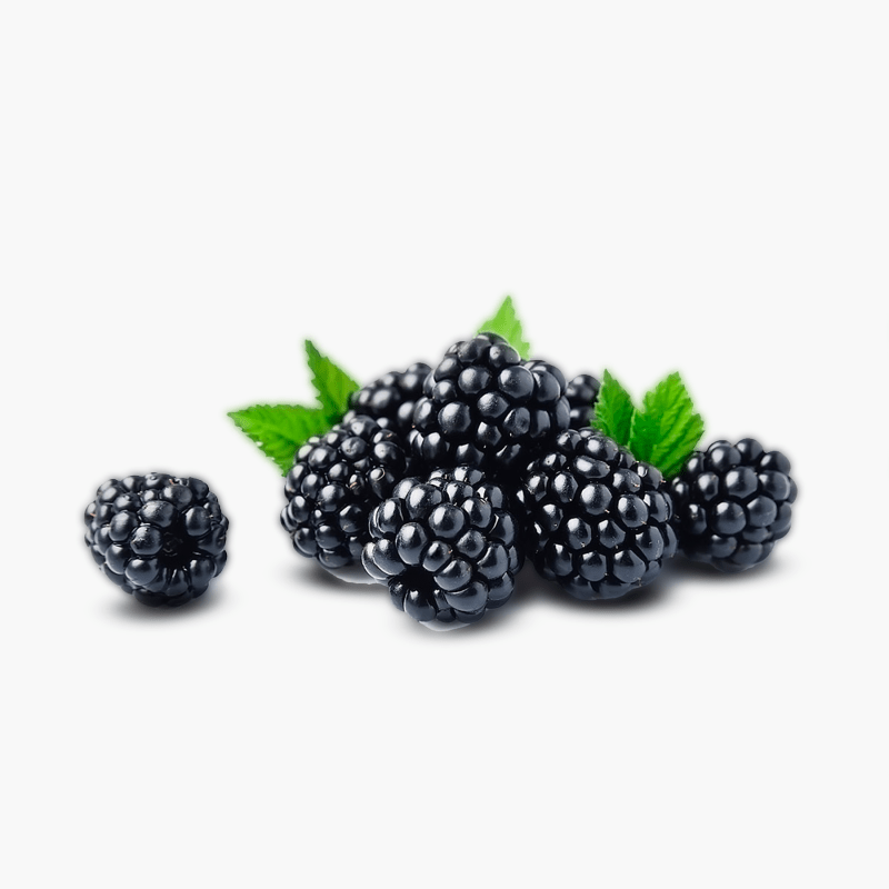 Brombeeren 125g (Mexico)