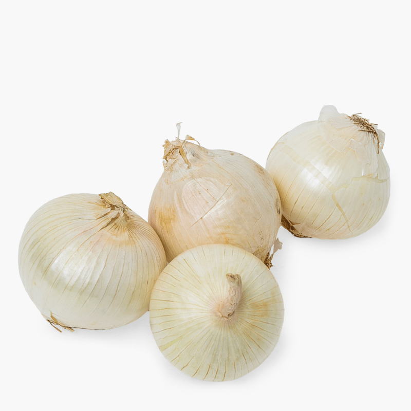 Oignons blancs - 500 g (Espagne)