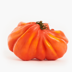 Tomaten Coeur de Boeuf 1 Stk. (Bulgarien)