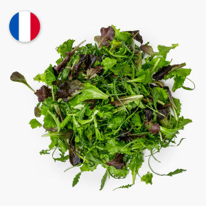 Mesclun de Jeunes Pousses - 125g (France) Mesclun de Jeunes Pousses - 125g (France)