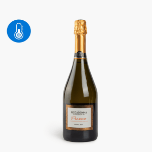 Riccadona - Prosecco extra dry 11% (75cl) Riccadona - Prosecco extra dry 11% (75cl)