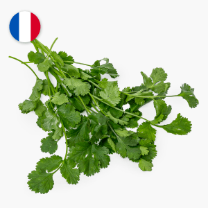 Coriandre - 20 g (France) Coriandre - 20 g (France)