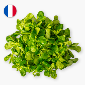 Mâche - 125g (France) Mâche - 125g (France)